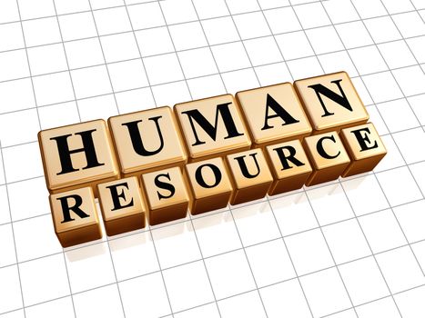 human resources - text in 3d golden cubes with black letters, business concept