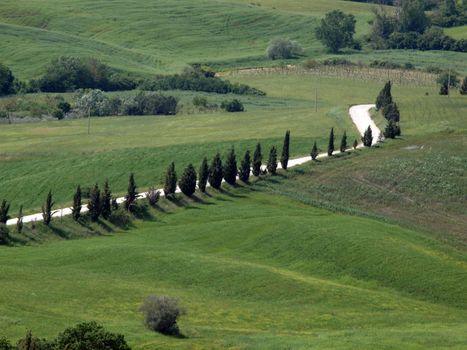 The landscape of the Val d’Orcia. Tuscany. Italiy