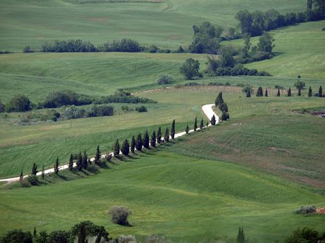 The landscape of the Val d’Orcia. Tuscany. Italiy