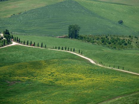 The landscape of the Val d’Orcia. Tuscany. Italiy