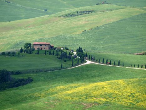 The landscape of the Val d’Orcia. Tuscany. Italiy