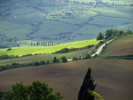 The landscape of the Val d’Orcia. Tuscany. Italiy