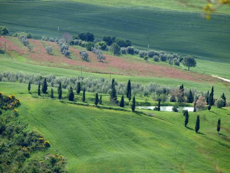 The landscape of the Val d’Orcia. Tuscany. Italy