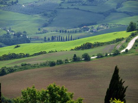 The landscape of the Val d’Orcia. Tuscany. Italiy
