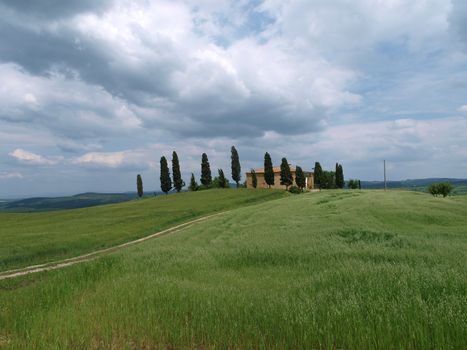 The landscape of the Val d’Orcia. Tuscany. Italy