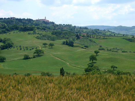 The landscape of the Val d’Orcia. Tuscany. Italy
