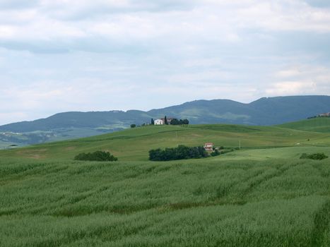 The landscape of the Val d’Orcia. Tuscany. Italy