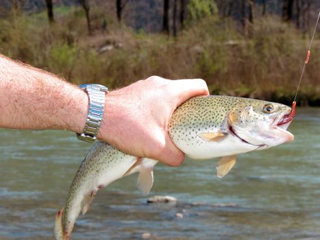 Trout fishing 