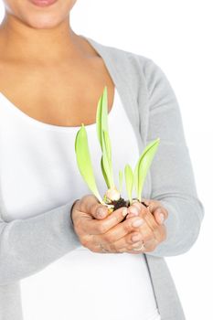 Conceptual image of woman holding a plant in her hand