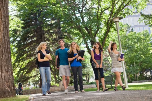 University students walking through the park on their way to college