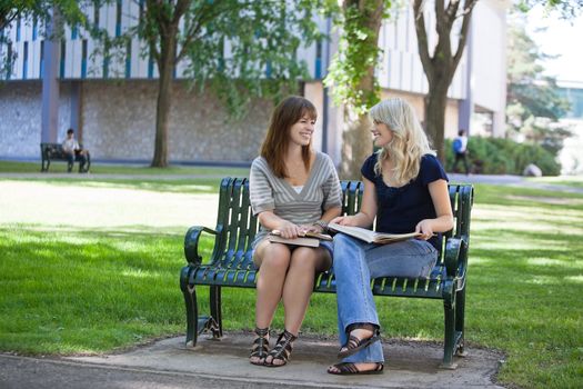 Happy young adults sitting on bench on college campus