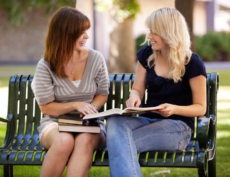 Portrait of two university students studying outdoors on a park bench