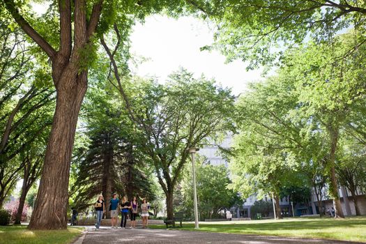 Group of university students walking to class on campus