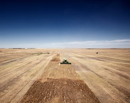 A group of harvesters on the open prairie combining lentils