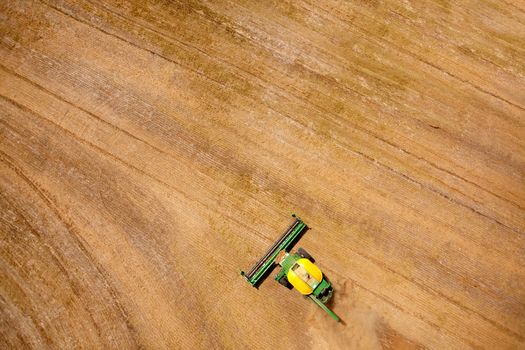 Green harvester in a lentil field creating an abstract background texture