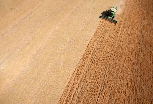 Background texture aerial of a combine harvesting lentils
