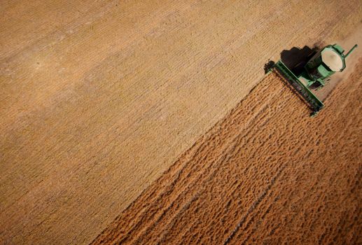 Abstract view of a combine harvesting lentils in a large field