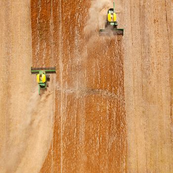 Two harvesters combining a lentil field, viewed from above