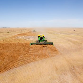 A green combine in a lentil field on the open prairie