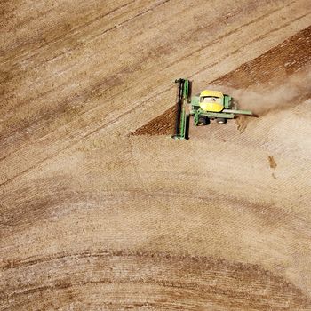 A lone harvester on a nearly completed lentil field