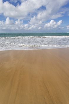 beach and ocean