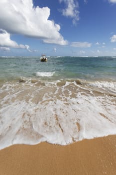 wave on the beach