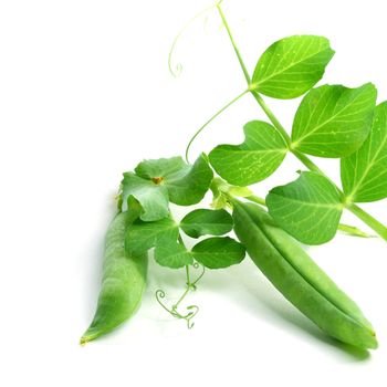 peas isolated on white background macro close up