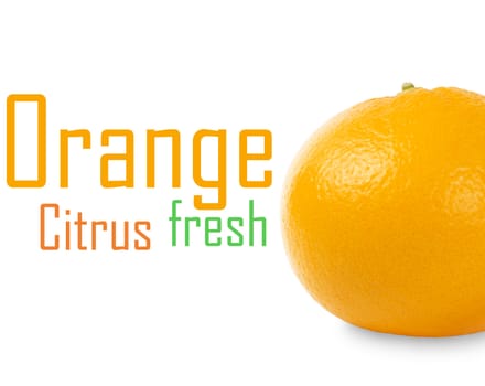Orange isolated on white background