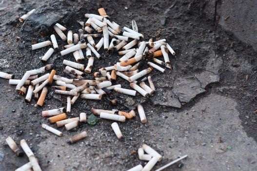 Pile of cigarettes on ground