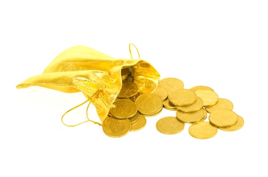 Money coins in golden bag isolated on white