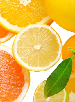 Mix of citrus slice isolated on white