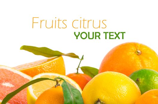 Fruits citrus on white