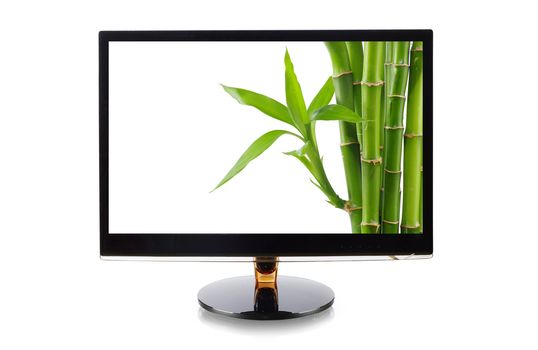Bamboo in monitor isolated on white