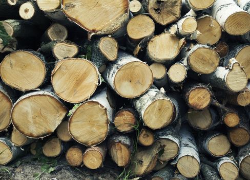 Close-up of big wood stack for background