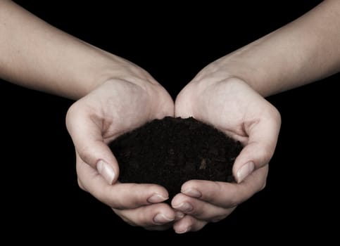 Brown Land and humman hand (on hand)