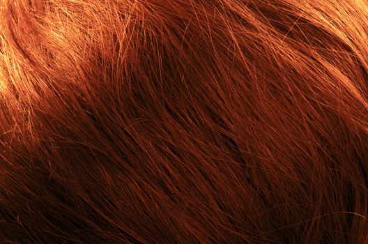 Hair