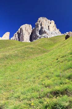 green slope beneath Sassolungo mount, Trewntino, Italy