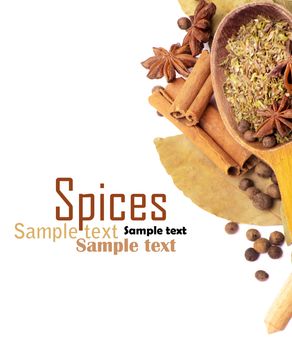 Spices border isolated on white