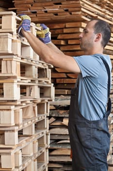 Man arraging beech pallets in a warehouse, vertical shot