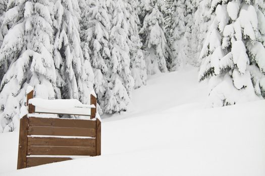 Fir trees with lots of snow and a sign on left, horizontal