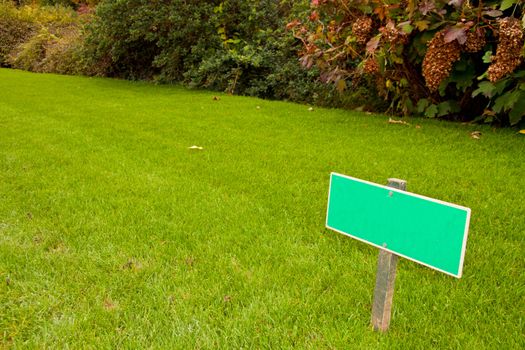 Green grass with a sign and a bush, sideview horizontal shot with copy space