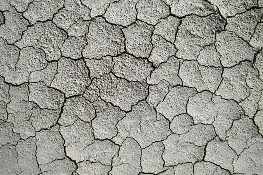 Dry cracked soil