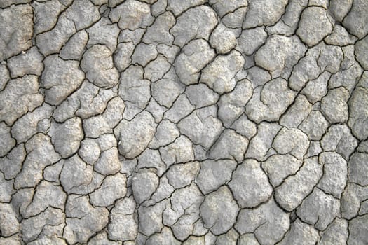 Dry cracked land