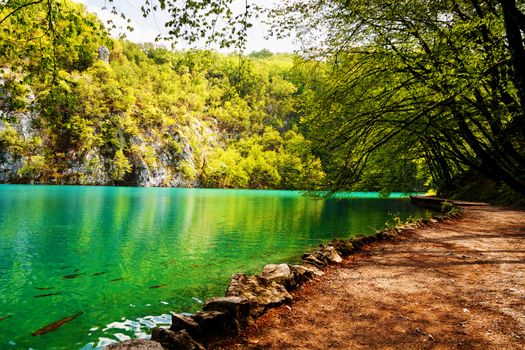 Beaten track near a forest lake in Plitvice Lakes National Park, Croatia