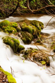 Small forest cascade vertical shot, Krka national park, Croatia