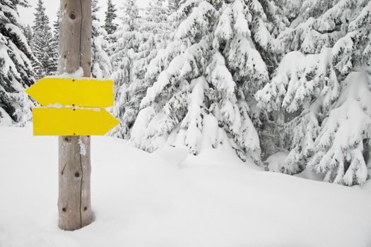 Direction signs in a snowy forest