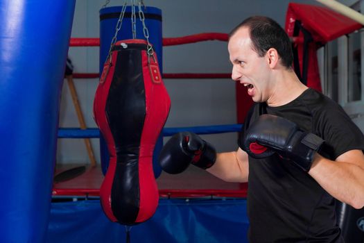 Fanatic boxer punching a sand bag