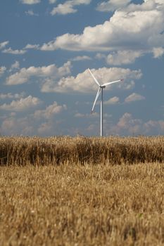 Wind power generator in a wheat field