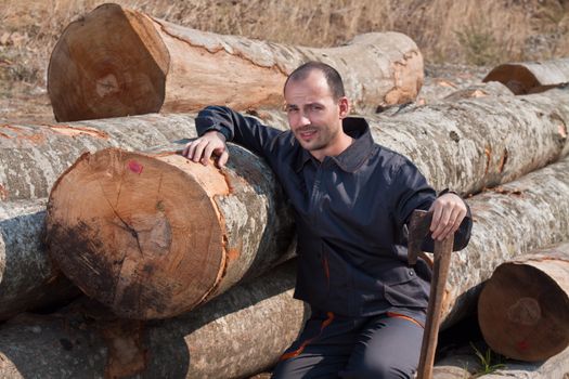 Woodcutter with an axe and a pile of beech logs. Horizontal shot.