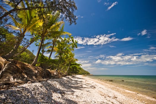 Deserted tropical beach with golden sand fringed with palm trees overlooking a tranquil ocean on a hot summer day